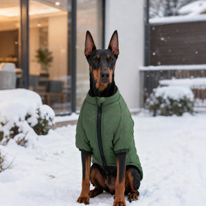 Cotton Pet Jacket With Two-Leg Design For Warmth