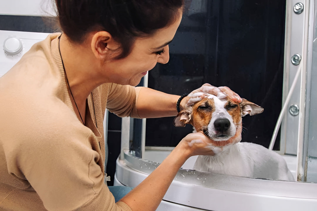 Making Bath Time Easy For Every Pet