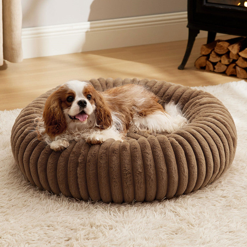 ad147627b75875164a68de8c57a7005c